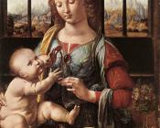 莱昂纳多 达 芬奇 : 持康乃馨的圣母